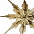 Seedhead
